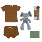 Summer Elephant Classic Baby Hamper